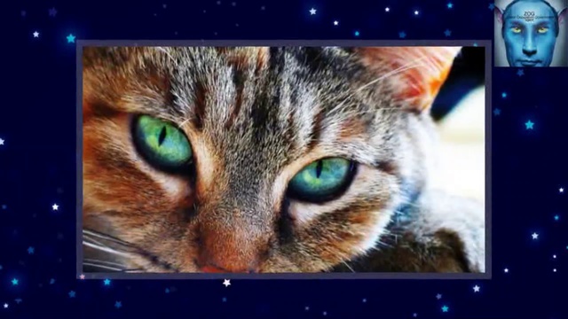 НОВЫЙ ПУТЬ - ВЕСЬ ПУТЬ