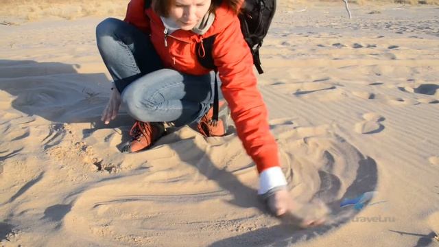 Поющий песок на Балтийском море смотреть онлайн