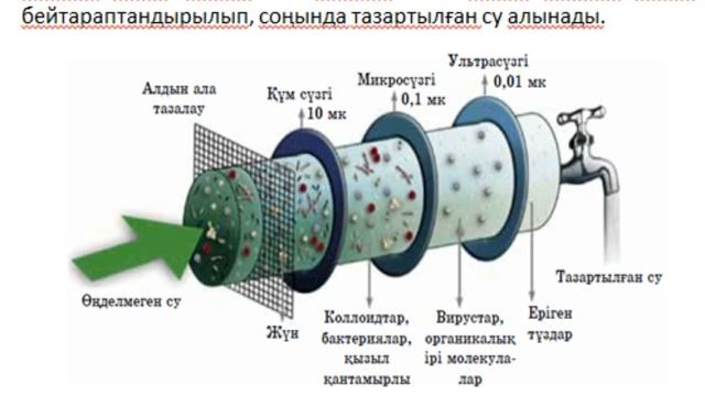 Бейтараптандыру реакциялары Жаратылыстану 6 сынып смотреть онлайн