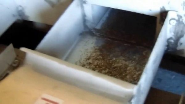 Очистка люцерны на Петкус К-531 Cleaning alfalfa Petkus K-531