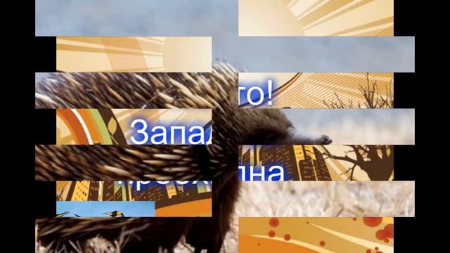 Топ 5: Самые редкие животные. смотреть онлайн