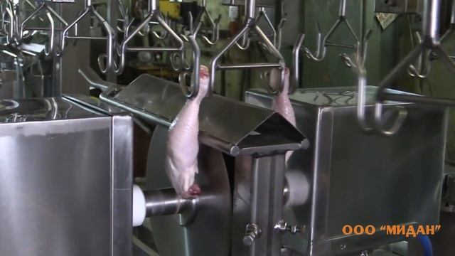 линия разделки куры смотреть онлайн