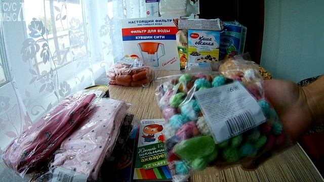 СВЕТОФОР / чистая вода / Август 2019 смотреть онлайн