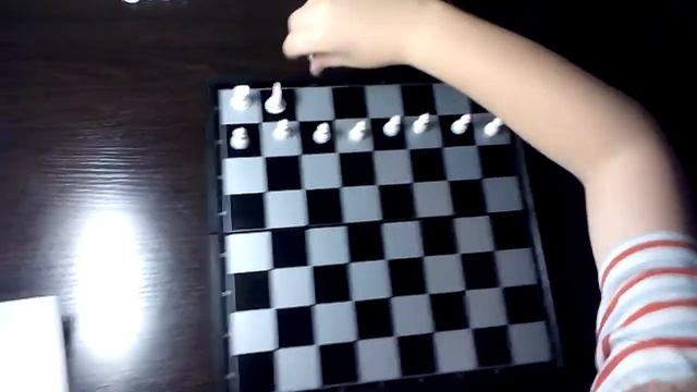 Как научиться играть в шахматы. Урок 1. Расположение и название фигур. смотреть онлайн