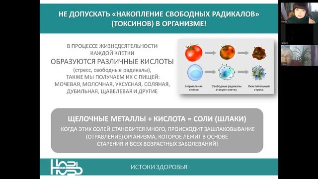 Роль и значение цеолита простыми словами. смотреть онлайн