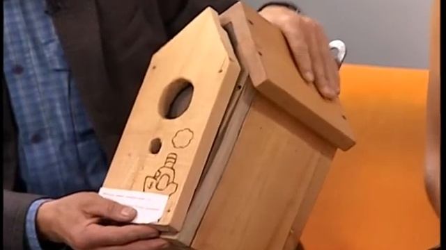 ПОДКАРМЛИВАЕМ УЛИЧНЫХ ПТИЦ - Как помочь птицам? смотреть онлайн