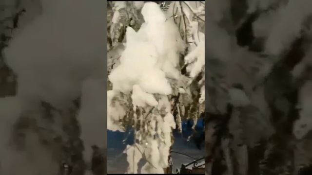 Абхазия, обстановка на озере РИЦА СЕГОДНЯ начало января, ЗИМА 2024 Зимняя СКАЗКА! Смотрите онлайн смотреть онлайн