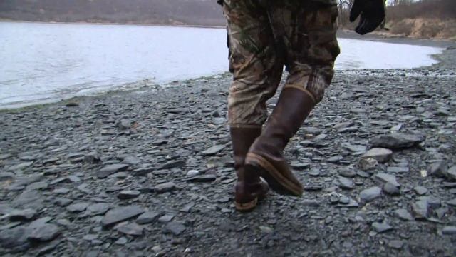 Kodiak Island Brown Bear Pt. 1 смотреть онлайн