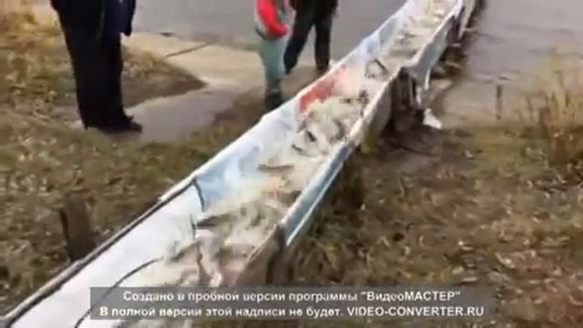 Козинцы 3 11 2016 смотреть онлайн