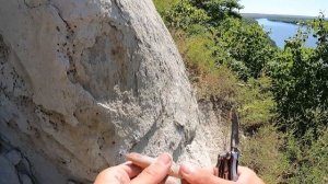 Поиск окаменелостей в меловых отложения р.Дон Fossil hunting on the Don river