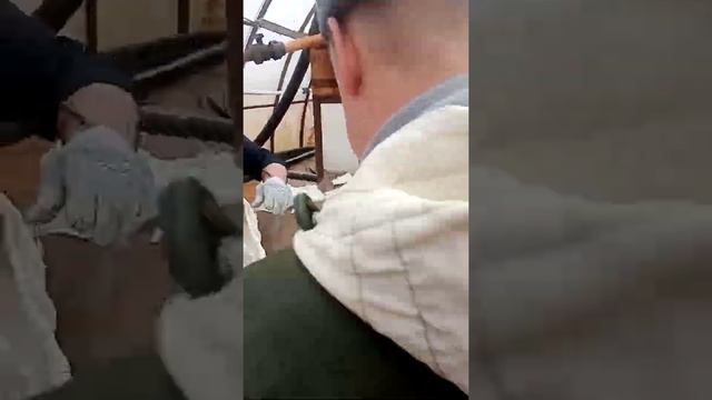 2-я дойка стерлядь