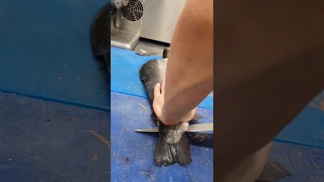 форель филе лосось филе как почистить. lasos tozalash смотреть онлайн