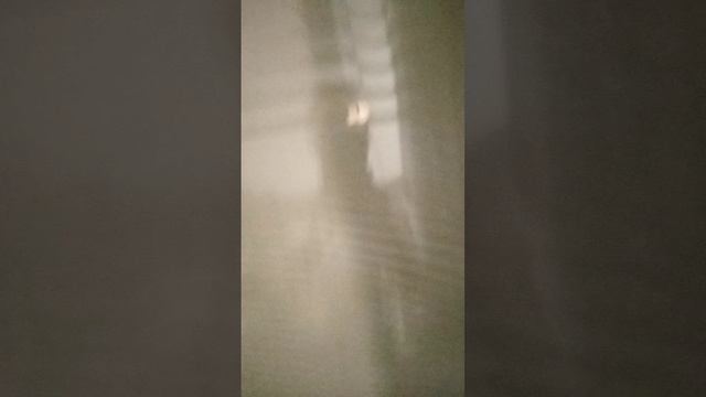белый гусь смотреть онлайн