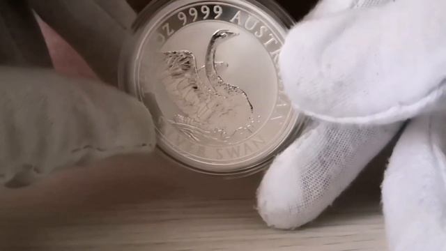 ЛЕБЕДЬ 2020 АВСТРАЛИЯ! смотреть онлайн