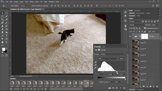 How You Can Make a Gif Animation from Video in Photoshop CC смотреть онлайн