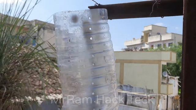 Smart idea to grow portulaca grandiflora, moss rose from waste bottle. Building a Portulaca tower. смотреть онлайн