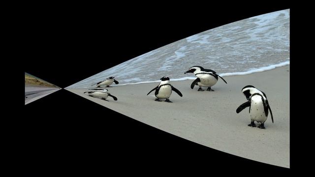 южная африка смотреть онлайн