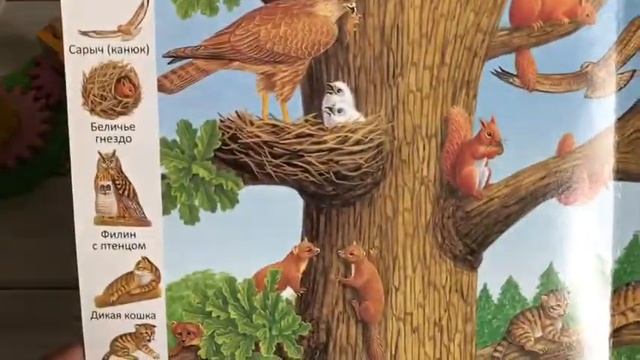 ОбзорКниги ? Где обитают животные - Первые книги малыша Учим новые слова - изд Улыбка смотреть онлайн