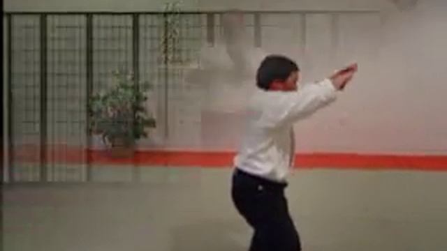 Ryukyu Kempo Karate And Kobudo