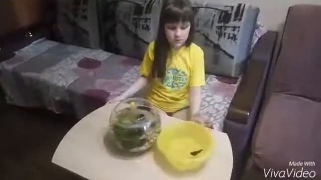 Замена воды в аквариуме смотреть онлайн