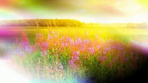 Футаж. Летний пейзаж 2