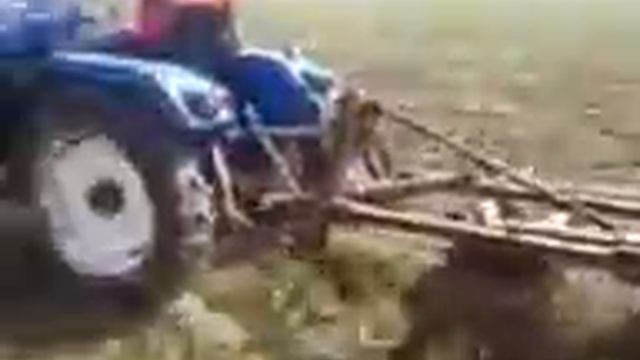 дисковая борана на синтае 244! смотреть онлайн