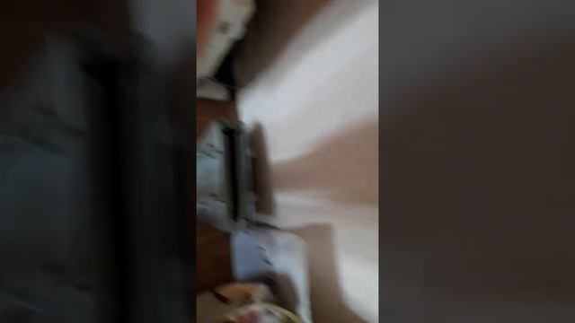 Почему рисовые амадины так названы? смотреть онлайн