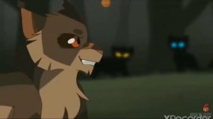 коты-воители бич против огнезвёзда