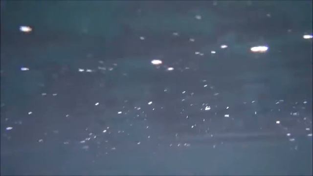 Голодная рыба Поведение рыбы, не боится камеры подводные съемки смотреть онлайн