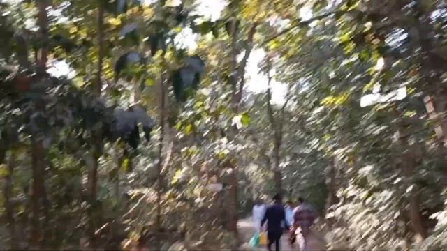 ঘুরে আসলাম জিন্দা পার্ক || A beautiful park in Narayanganj || Raiaan creations смотреть онлайн