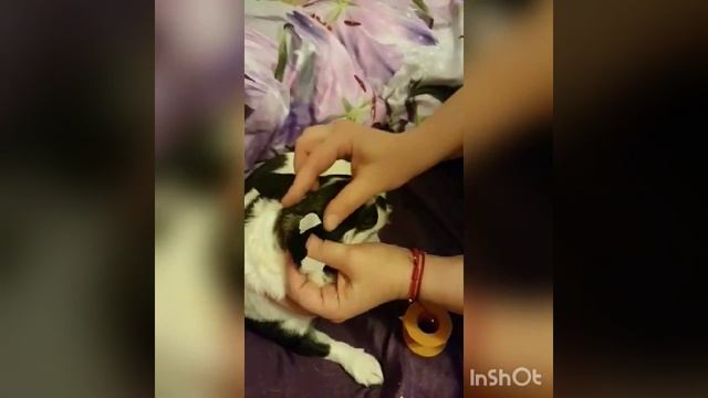 Учебник Ремонта