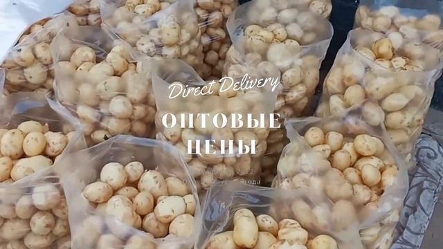 Картофель опт Великие Копани. Купить и Продать. Direct Delivery смотреть онлайн