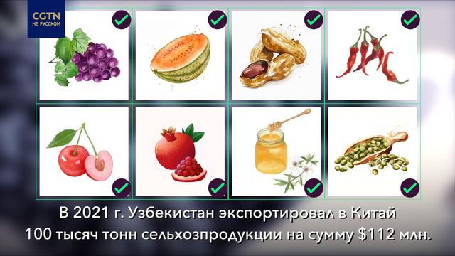 Сотрудничество Китая и Узбекистана в рамках «Одного пояса, одного пути» смотреть онлайн