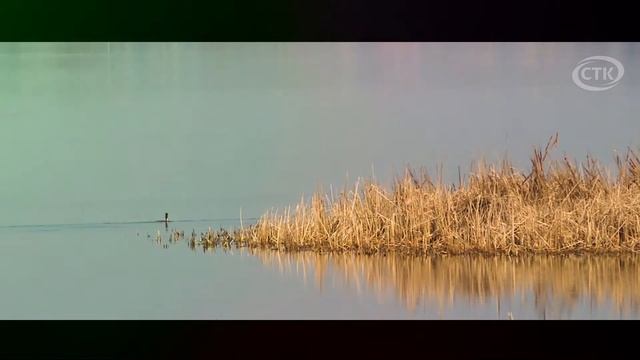 Год малой Радзiмы. Салiгорск смотреть онлайн