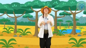 Путешествие в Австралию | Знакомство с окружающим миром