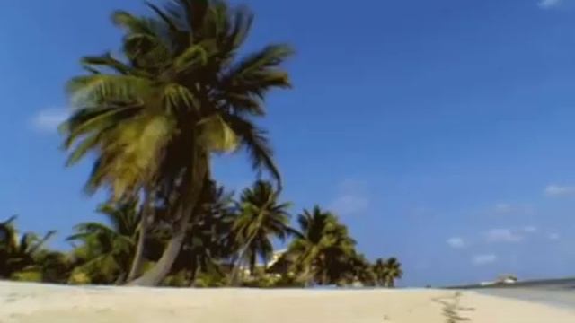 ФОЗИЛ КОРИ Хадис Ривоятлари(360P).mp4