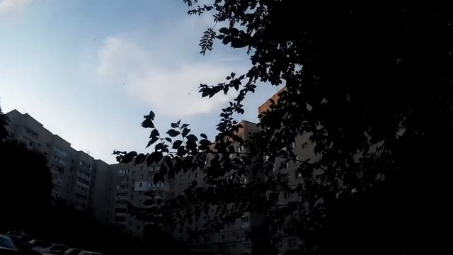 Поездка на машине - озеро Эльтон (1 часть)