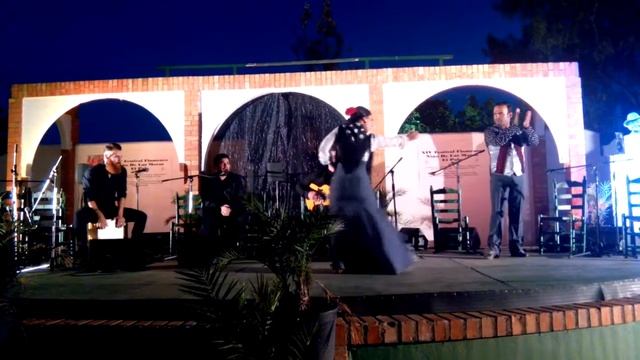 XIV Festival de Flamenco "NIño de las Moras" смотреть онлайн