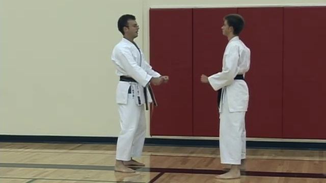 Basic Partner Work: Sanbon Kumite Part 2 смотреть онлайн