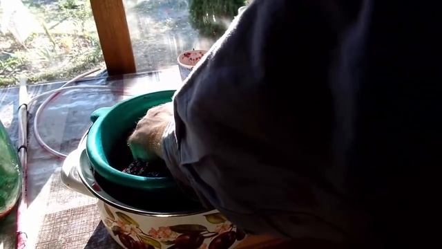 Отделение сусла от мезги для дальнейшего брожения в десяти литровых бутылях смотреть онлайн