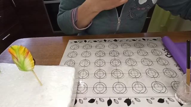 InShot 20220209 174203316