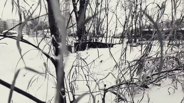 VID 20221216 135531 У Северного моря (О. Суинберн)...Павел Васильев Лахтинский смотреть онлайн