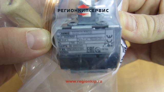 Термостат Viessmann 602030/01 30-110°C (7830198) смотреть онлайн