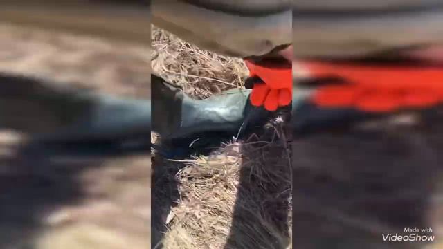 Поисковый магнит принёс удачу! Подкова на счастье! Search magnet смотреть онлайн