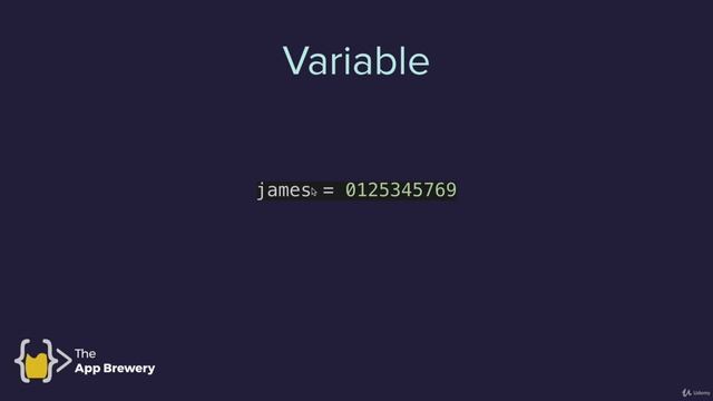 Day 1 - Working with Variables in Python to Manage Data - 011 Python Variables смотреть онлайн