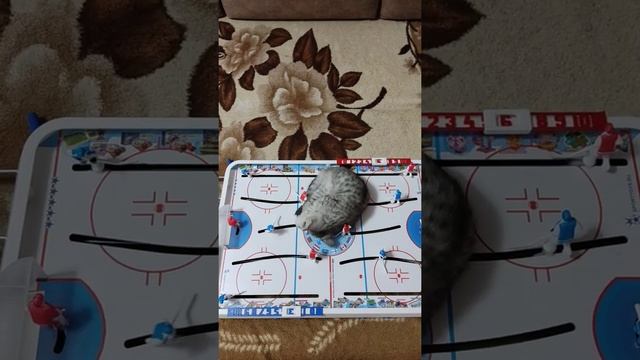 #Алиса играет в хоккей #Alice plays hockey смотреть онлайн