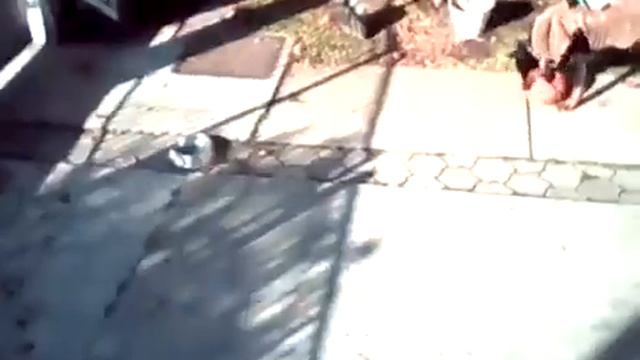 Make some flips with mjx 601 h смотреть онлайн