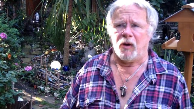Why are birds declining? Why is the House Sparrow declining? #AskBillOddie смотреть онлайн