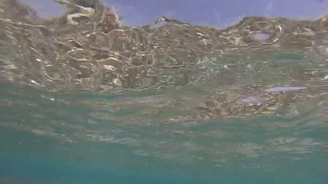 Royal Albatros Moderna Nabq Bay -Sharm El-Sheikh Snorkeling