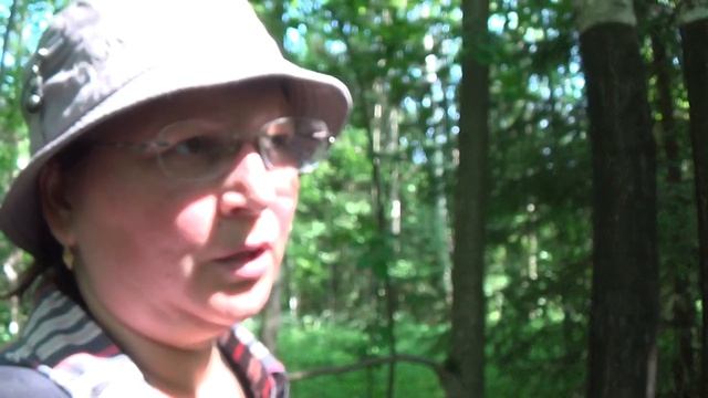 Макушка лета, жара 7 июля 2020. Пермские леса. смотреть онлайн